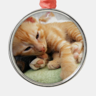 Ornement Rond Argenté Cute Tiger Stripe Kitten