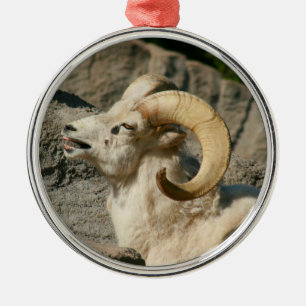 Ornement Rond Argenté Drôle rire Mouton ou Bighorn Ram