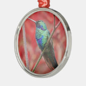 Ornement Rond Argenté Éclat iridescent (Gauche)