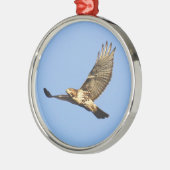 Ornement Rond Argenté faucon Rouge-coupé la queue (Gauche)