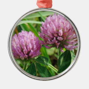 Ornement Rond Argenté Fleur sauvage de trèfle rose - Trifolium pratense