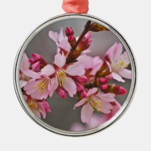 Ornement Rond Argenté Fleurs de cerisier japonaises roses sur un ciel gr