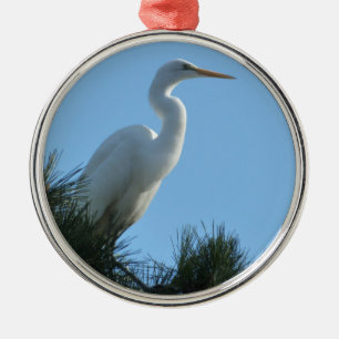 Ornement Rond Argenté Grande Aigrette en Floride ensoleillée