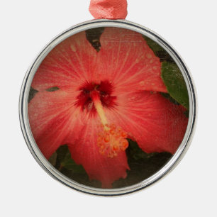 Ornement Rond Argenté Hibiscus Grunge