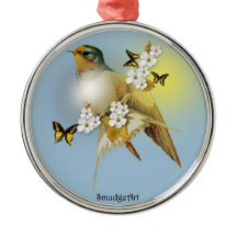 Hirondelle de grange