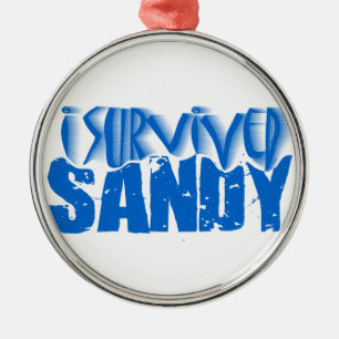 Ornement Rond Argenté j'ai survécu à SANDY