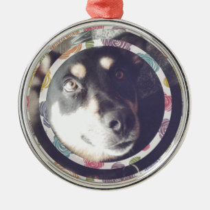 Ornement Rond Argenté Joyeux chien