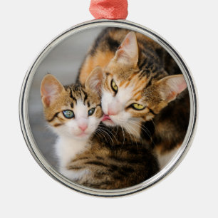 Ornement Rond Argenté Mère Chat aime Cute Kitten Photo -