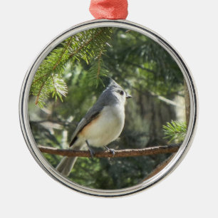 Ornement Rond Argenté Mésange tuftée