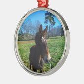 Ornement Rond Argenté mule Brown et blanche (Gauche)