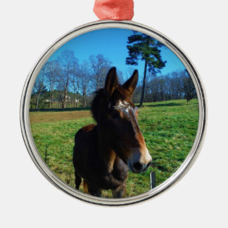Ornement Rond Argenté mule Brown et blanche