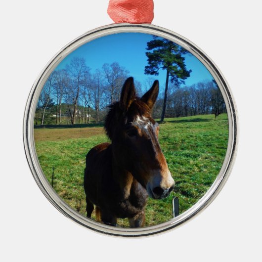 Ornement Rond Argenté mule Brown et blanche (Devant)