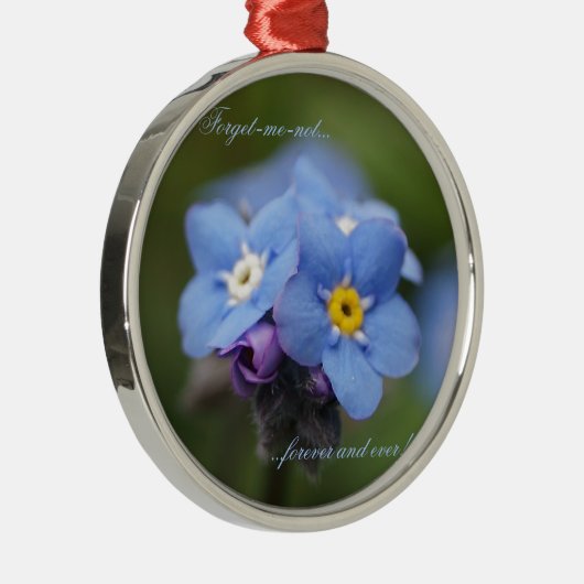 Ornement Rond Argenté Oublie-moi-pas pour toujours et jamais ! (Droite)