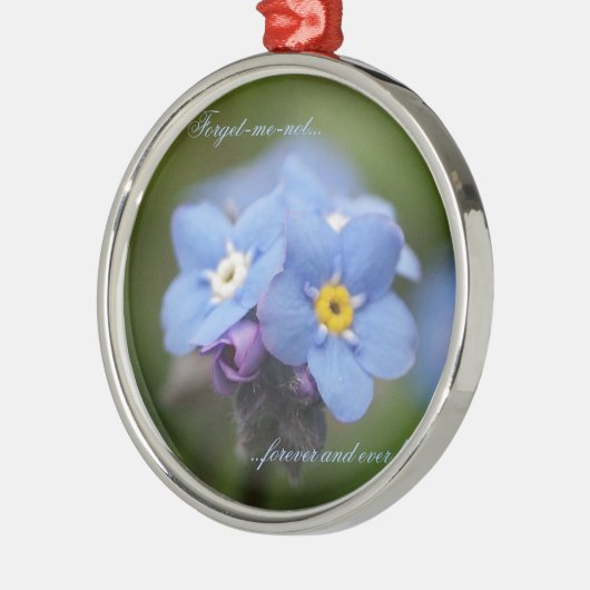 Ornement Rond Argenté Oublie-moi-pas pour toujours et jamais ! (Gauche)