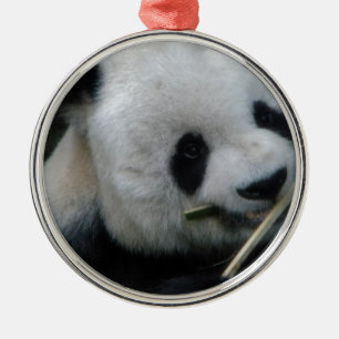Ornement Rond Argenté Panda