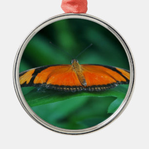 Ornement Rond Argenté Papillon brillant orange et noir sur une feuille
