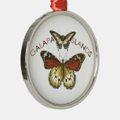 Ornement Rond Argenté Papillon des îles Galapagos (Droite)