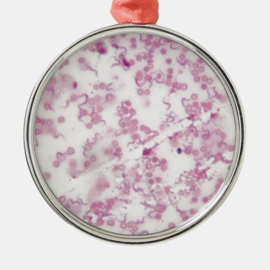 Ornement Rond Argenté Photo de microscope de sang humain avec (Devant)