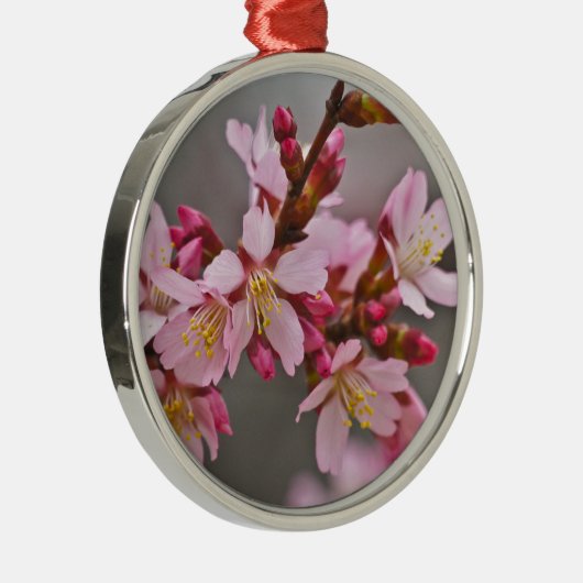 Ornement Rond Argenté Pink Against A Gray Sky Japanese Cherry Blossoms (Droite)