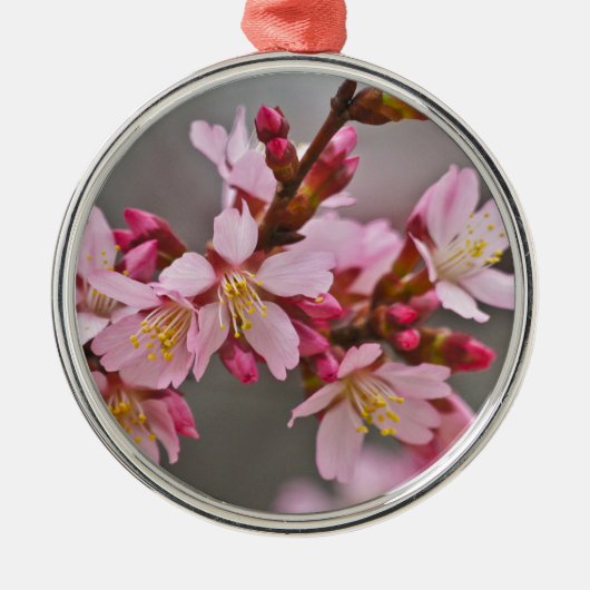 Ornement Rond Argenté Pink Against A Gray Sky Japanese Cherry Blossoms (Devant)