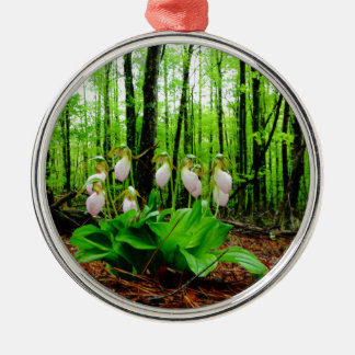 Ornement Rond Argenté Pink Lady Slipper sauvage orchidée