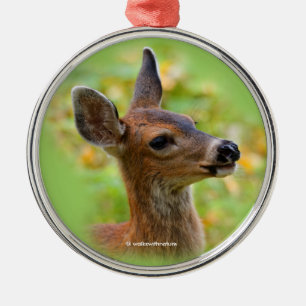 Ornement Rond Argenté Portrait en vignette de faon de cerf à queue noire