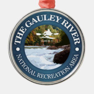 Ornement Rond Argenté Rivière de Gauley (c)