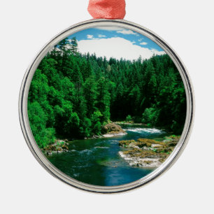 Ornement Rond Argenté Rivière Umpqua le comté de Douglas Orégon