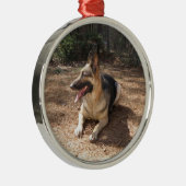 Ornement Rond Argenté shepard allemand 2 (Droite)