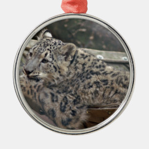 Ornement Rond Argenté Snow Leopard
