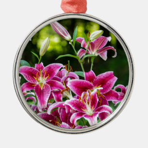Ornement Rond Argenté Stargazer Lilies