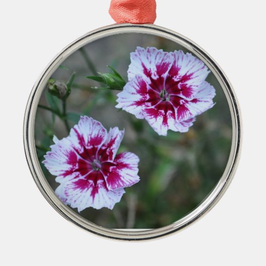 Ornement Rond Argenté Sweet Williams (Devant)