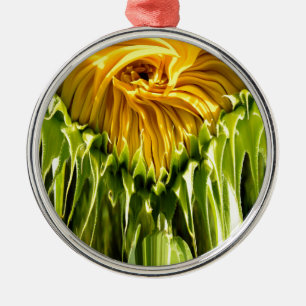 Ornement Rond Argenté Tournesol rétro funky abstrait, géométrie effrayée
