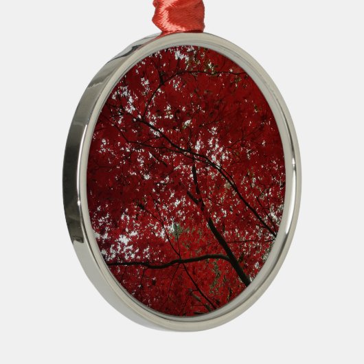Ornement Rond Argenté Tree Fall Season Red Brown Autumn Leaves (Droite)