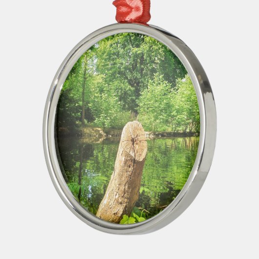 Ornement Rond Argenté Tree Trunk Nature Photographie Parc du lac (Gauche)