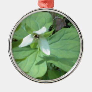 Ornement Rond Argenté trillium blanc avec verdure