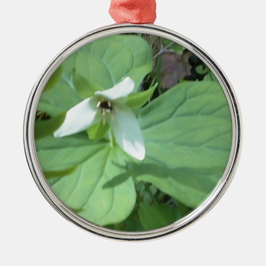 Ornement Rond Argenté trillium blanc avec verdure (Devant)