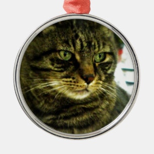 Ornement Rond Argenté Visage de chat tigré aux yeux verts