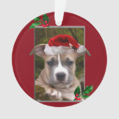 Ornement rond de chiot de Pitbull de Noël (devant)