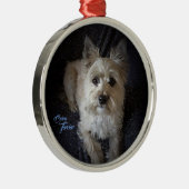 Ornement rond de la meilleure qualité de (Droite)