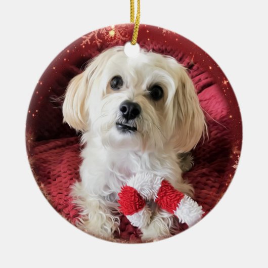 Ornement rond de Noël de chien de Morkie de sucre (Devant)