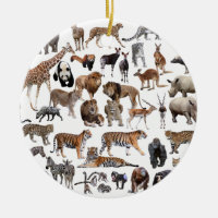 世 界 の 動 物 良 の 優 