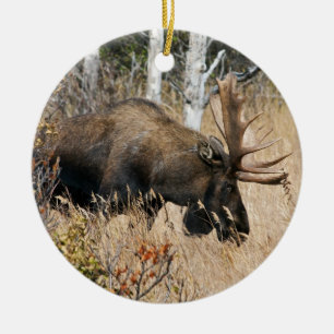 Ornement Rond En Céramique Aiguille