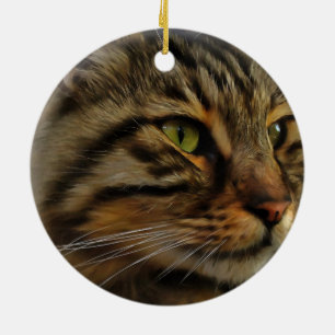 Ornement Rond En Céramique Aslan Le Long Haired Tabby Cat