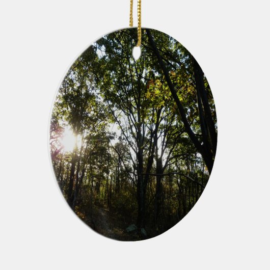 Ornement Rond En Céramique Automne Matin au Parc national de Shenandoah (Droite)