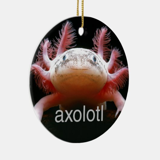 Ornement Rond En Céramique Axolotl d'Axolotl d'Axolotl d'Axolotl (Droite)