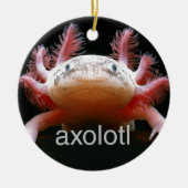 Ornement Rond En Céramique Axolotl d'Axolotl d'Axolotl d'Axolotl (Devant)