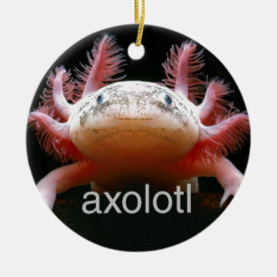Ornement Rond En Céramique Axolotl d'Axolotl d'Axolotl d'Axolotl