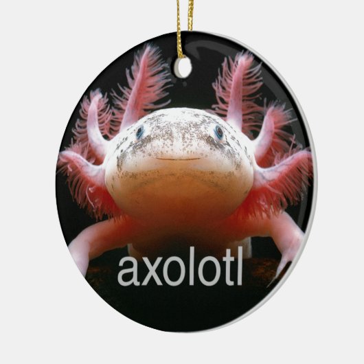 Ornement Rond En Céramique Axolotl d'Axolotl d'Axolotl d'Axolotl (Gauche)