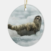 Ornement Rond En Céramique Bébé phoque de repos (Gauche)